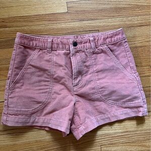 Patagonia 3” Stand Up Shorts